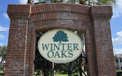 Focus on: Winter Oaks